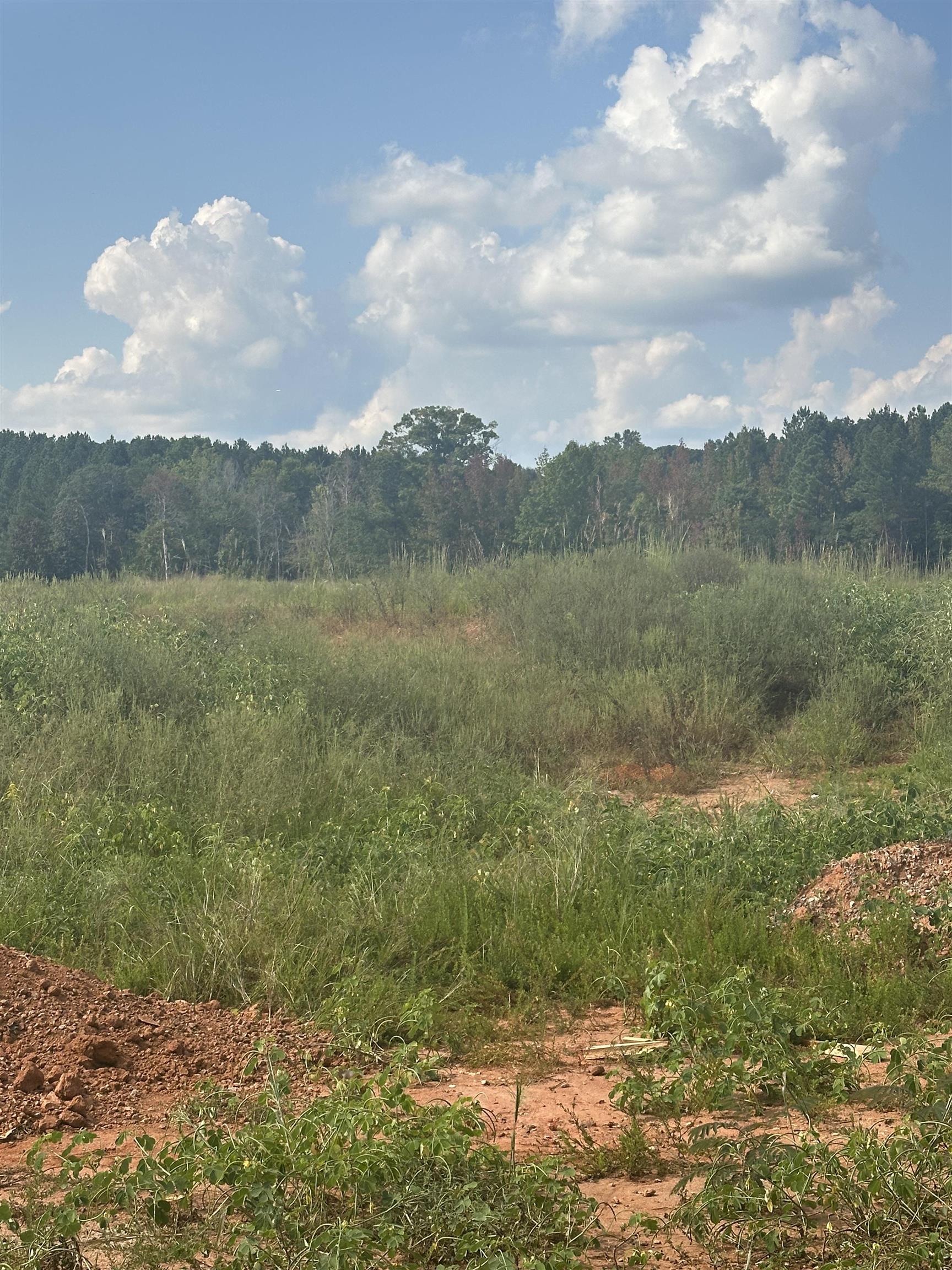 914 Gibbons Street Lyman, SC 29365 - Photo 15 of 34