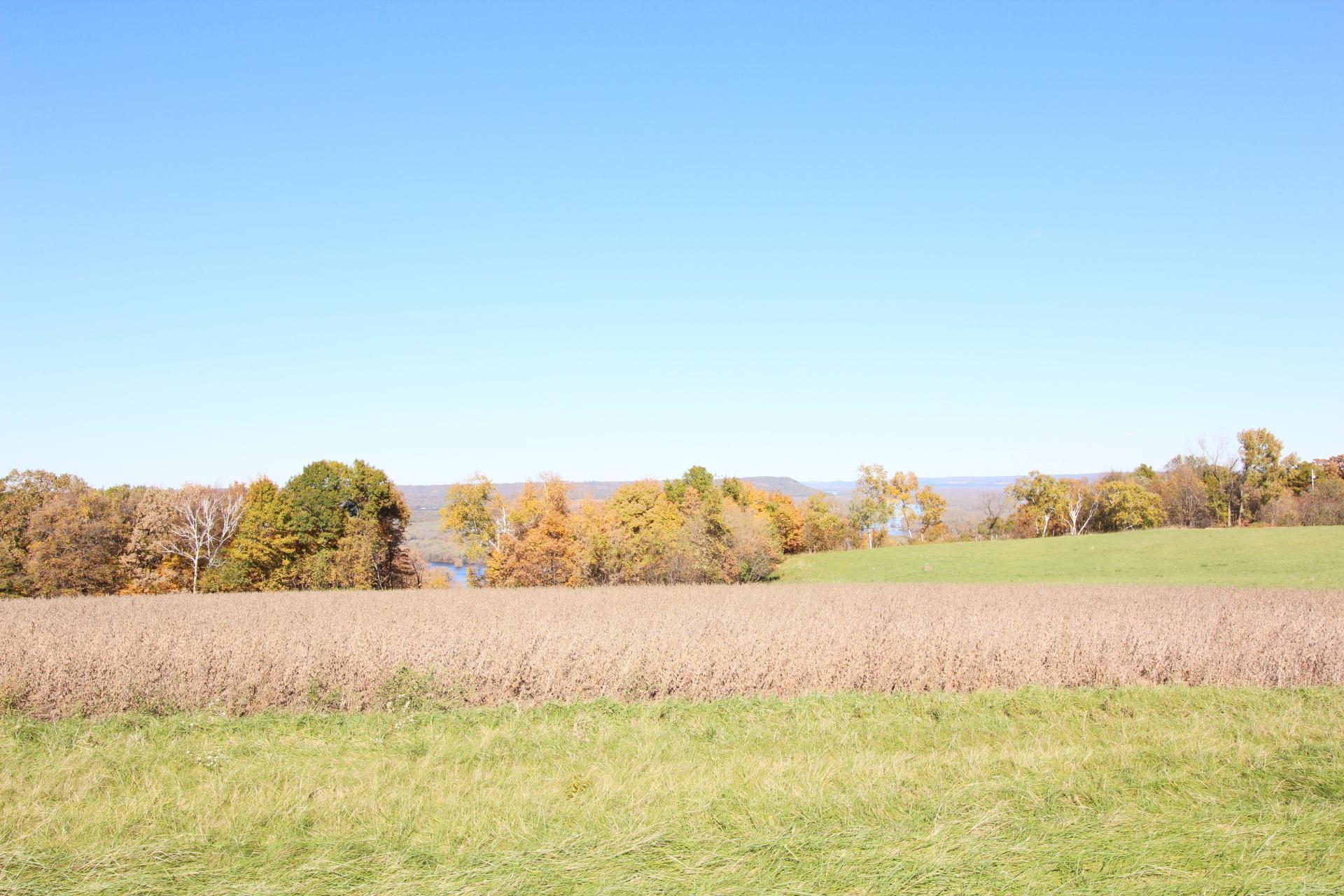 Lot 14 706th Street Wabasha, MN 55981 - Photo 3 of 4