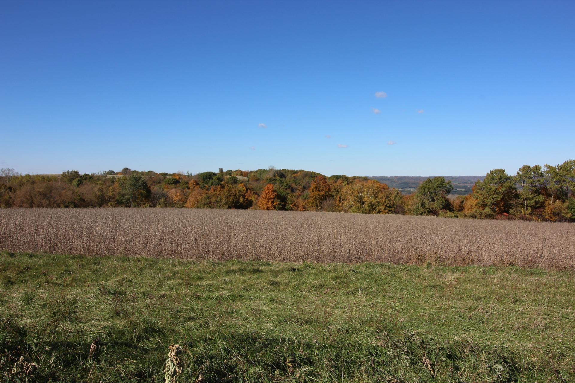 Lot 14 706th Street Wabasha, MN 55981 - Photo 4 of 4