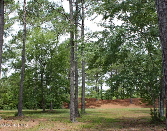 $65,000 | 761 Highgate Place, Ocean Isle Beach, NC 28469