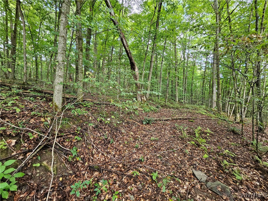 Dublin Terrace Road Salamanca, NY 14779 - Photo 1 of 4