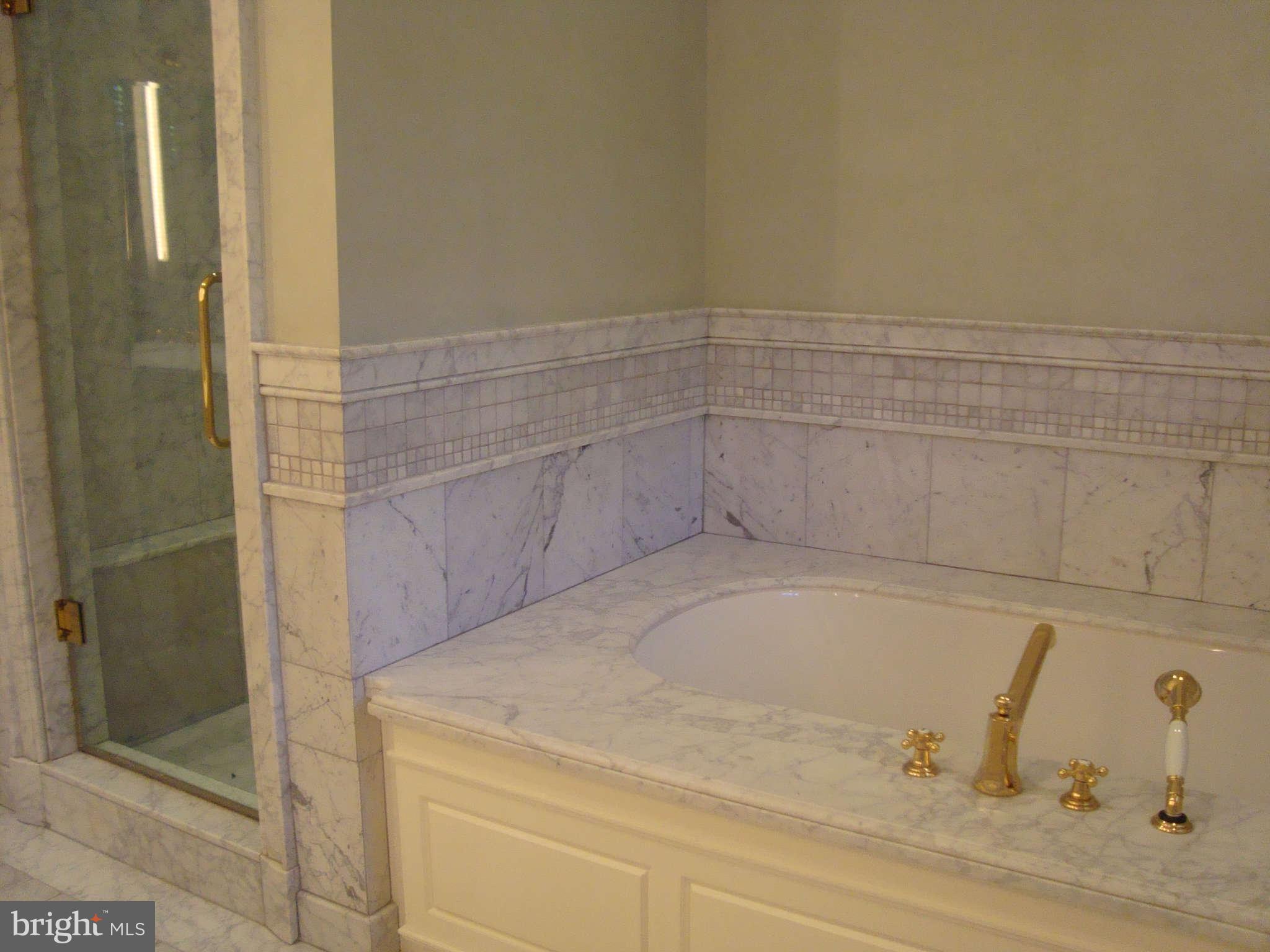3114 Q Street Northwest Washington, DC 20007 - Photo 17 of 28 Bath (Master)