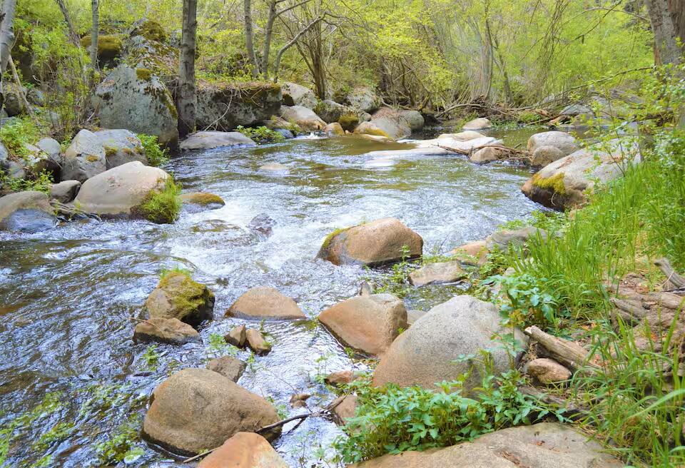 1693 Forest Rte 21S94 Camp Nelson, CA 93265 - Photo 82 of 86 66-River on property - access is from th