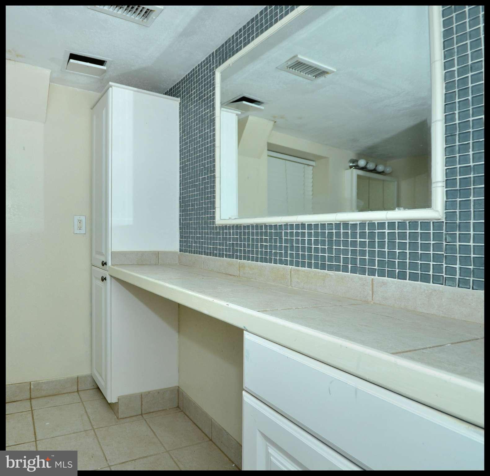 8010 Rider Avenue Baltimore, MD 21204 - Photo 22 of 29 a bathroom with a sink and a mirror