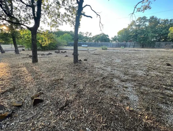 a view of a yard with trees