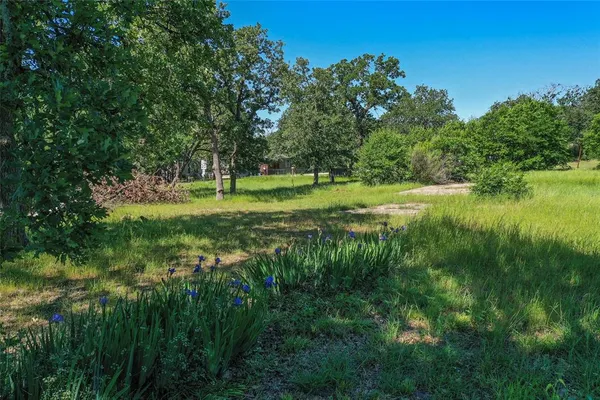 a view of a lush green space