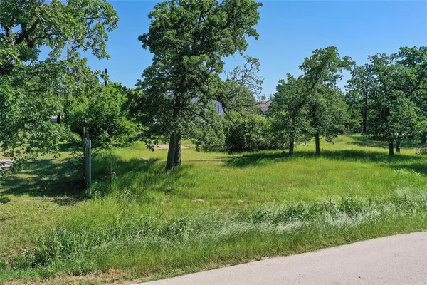 a view of green field with trees