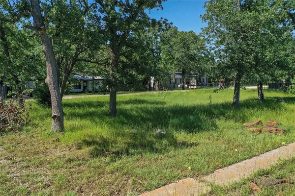 a view of a garden with a tree