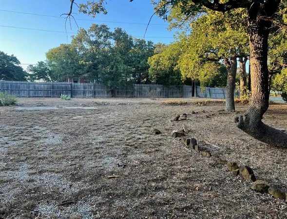 a view of a yard with a tree