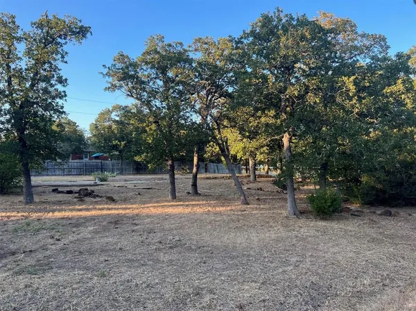 a view of a yard with a tree