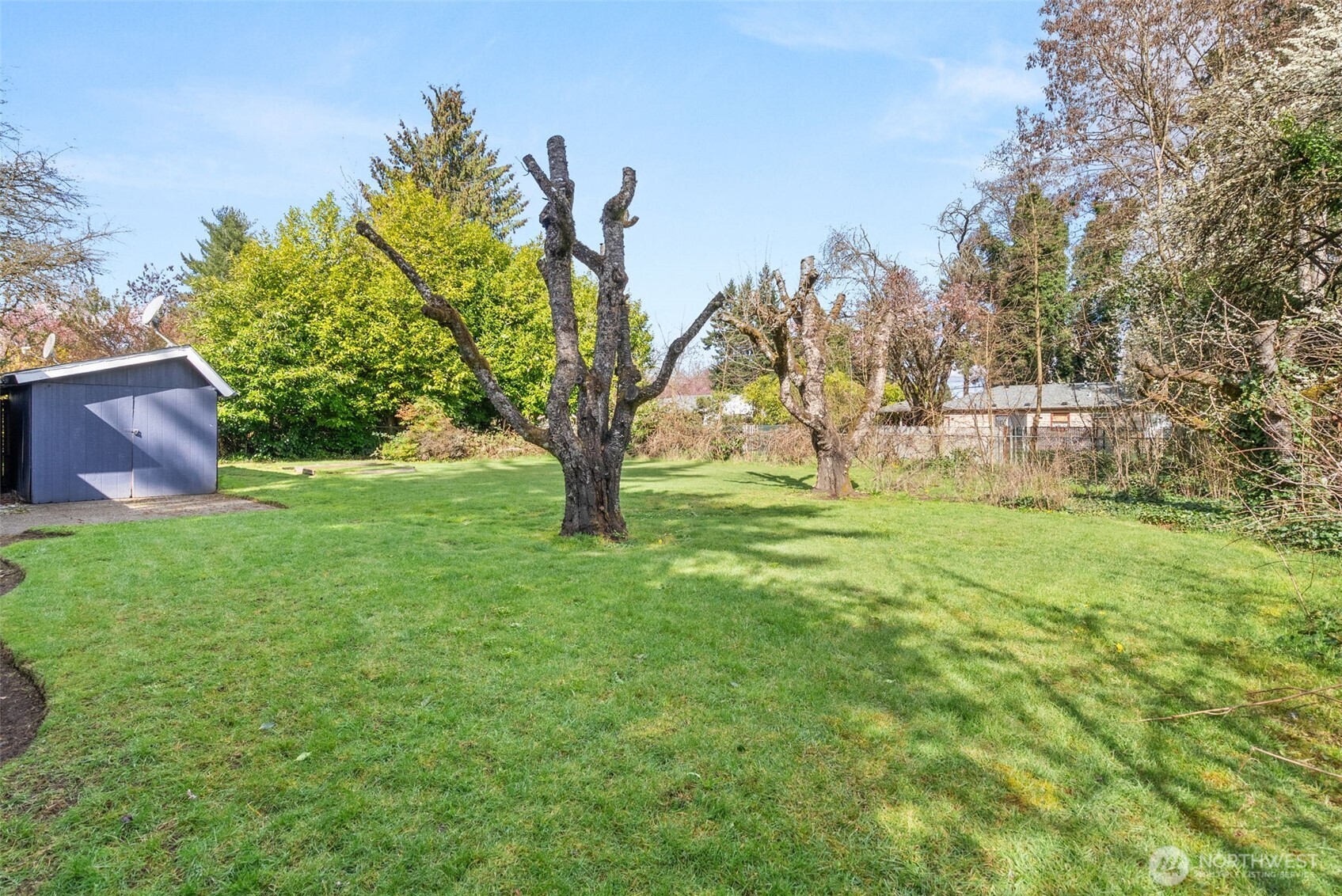 4532 14th Way Southeast Lacey, WA 98503 - Photo 16 of 22 a backyard of a house with lots of green space