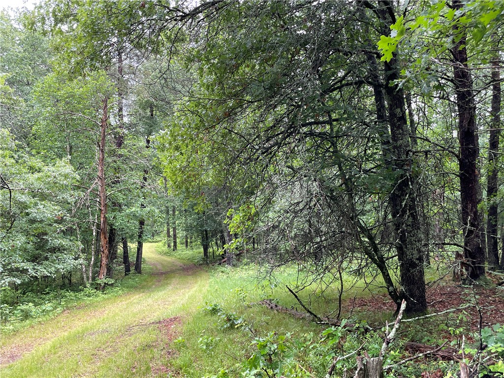 0 Loon Lake Road Spooner, WI 54801 - Photo 25 of 28