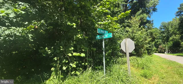 a view of a bench in a garden