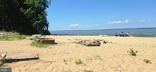 a view of a swimming pool with a yard and plants