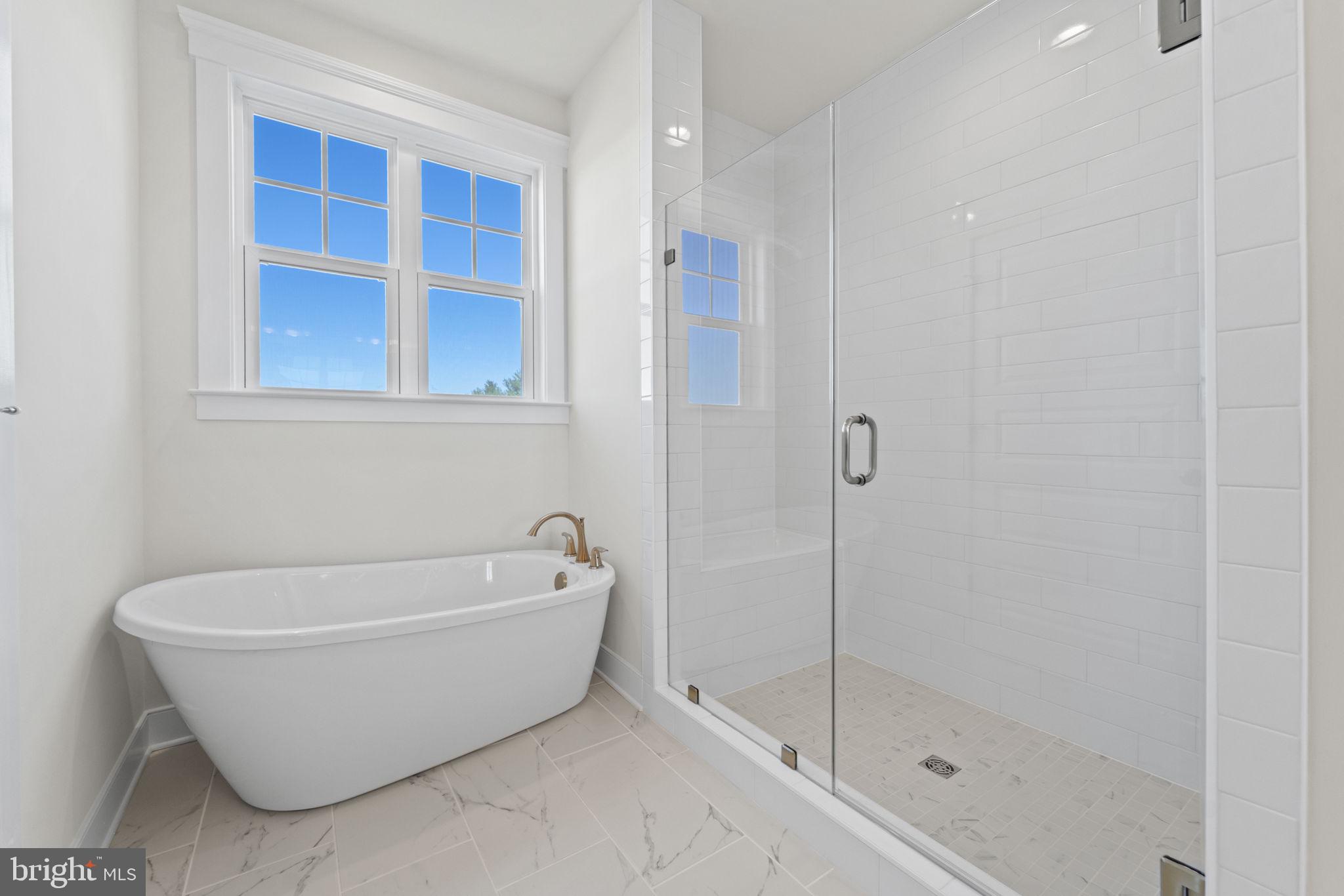 40900 Tarleton Drive Leesburg, VA 20176 - Photo 31 of 63 Main level primary Bathroom