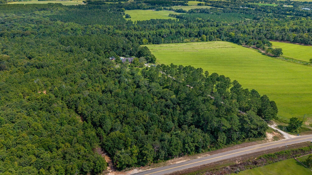 696 Benton Store Road Columbia, AL 36319 - Photo 52 of 58 Gallery Image 52