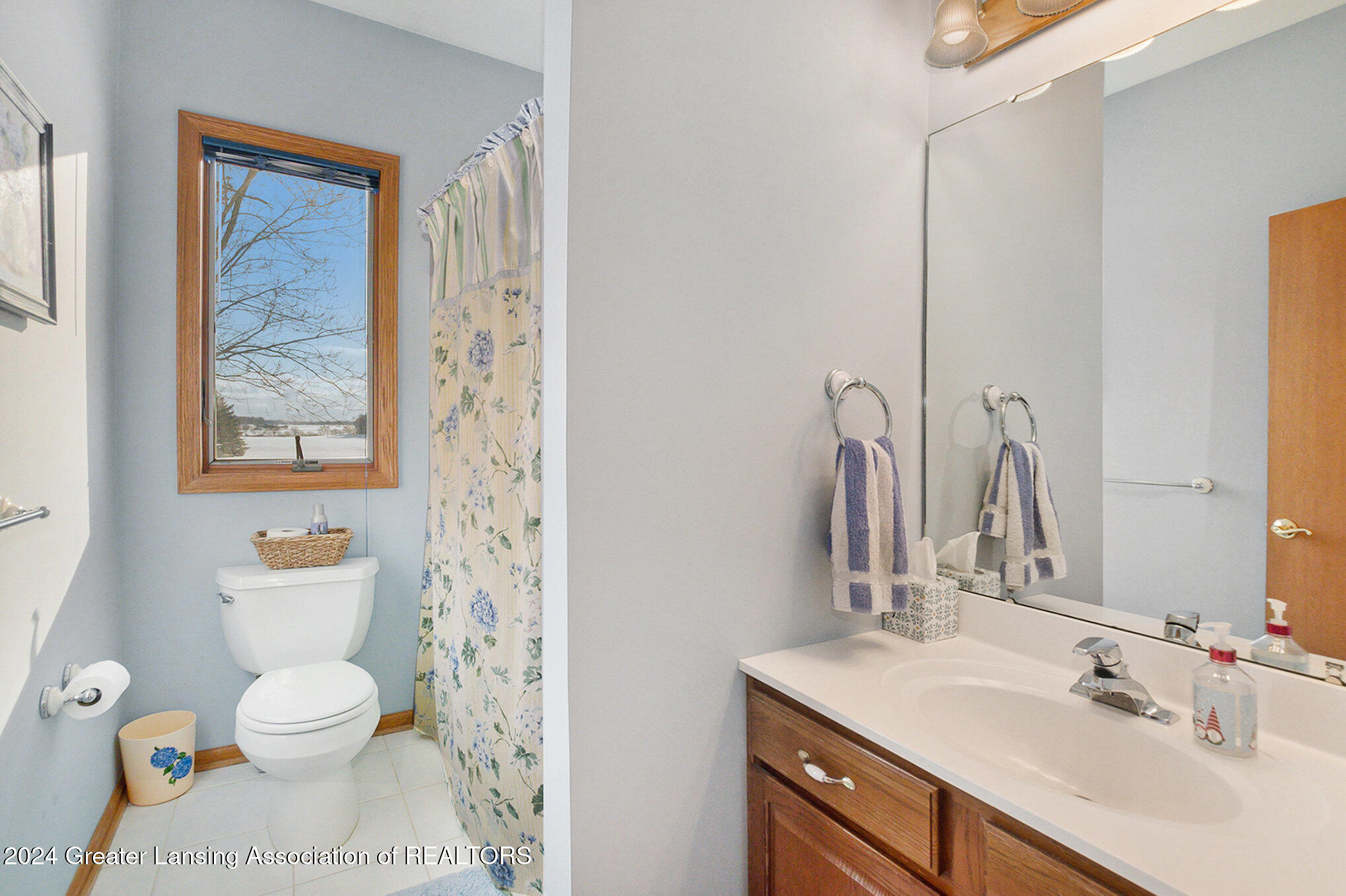 3553 West Parks Road St. Johns, MI 48879 - Photo 17 of 35 019__ndp2460_192