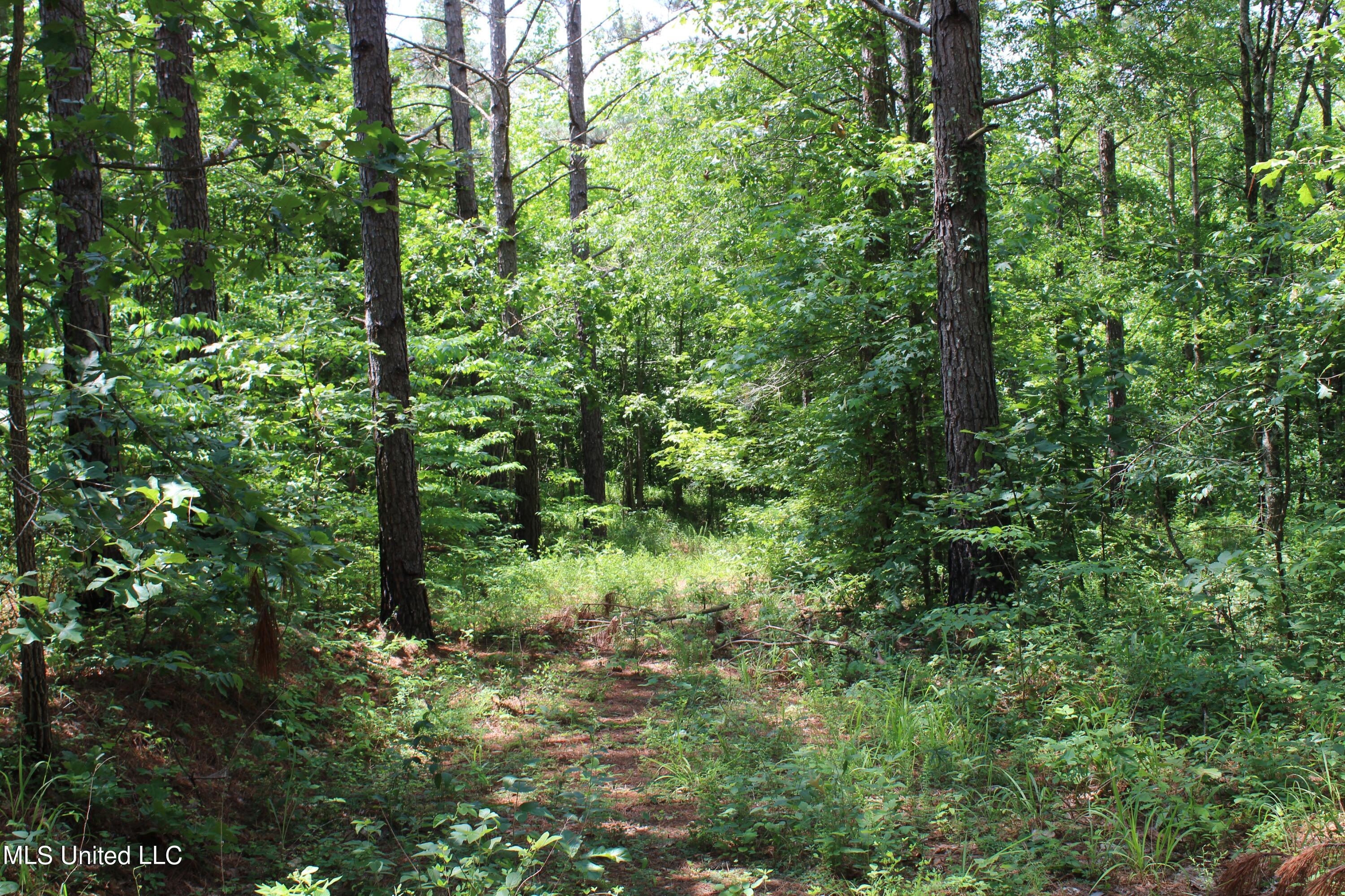 1200 Dorse Road Michigan City, MS 38647 - Photo 54 of 54 IMG_1425