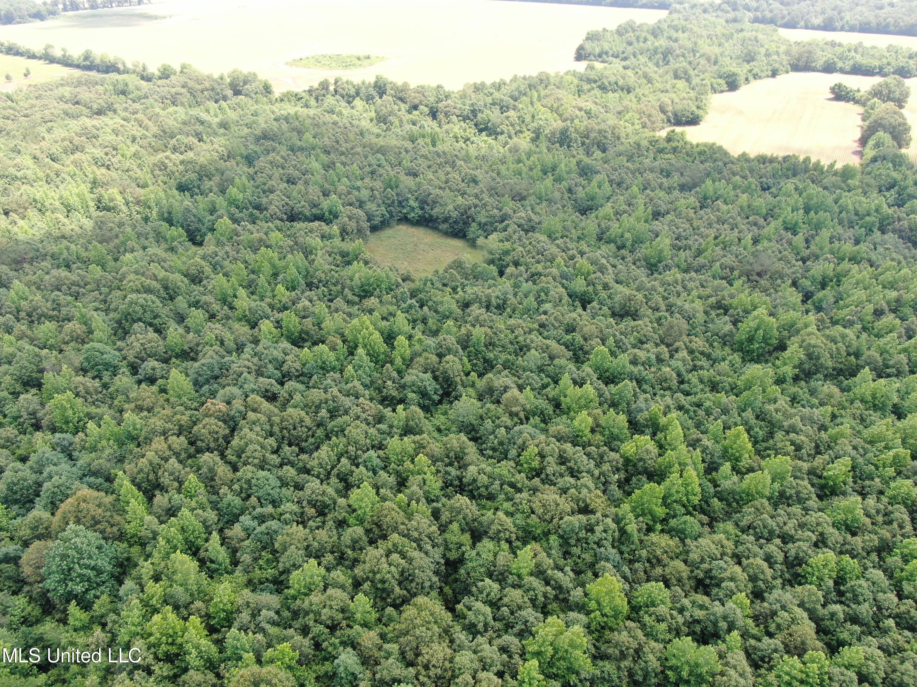 1200 Dorse Road Michigan City, MS 38647 - Photo 6 of 54 DJI_0855