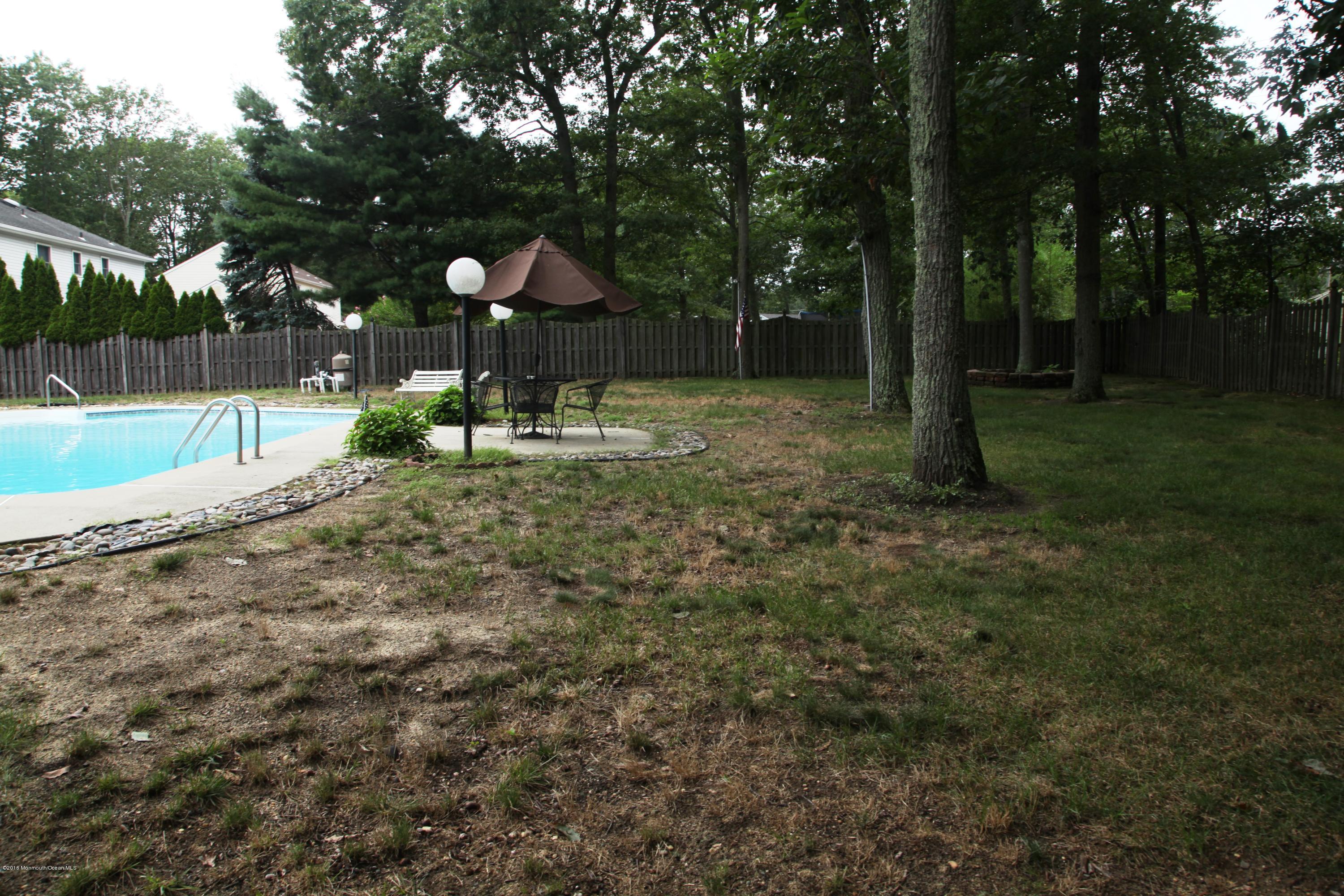 63 Chelsea Road Jackson, NJ 08527 - Photo 24 of 24 IMG_1721