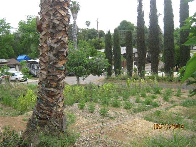 635 Howe Place Escondido, CA 92025 - Photo 11 of 13 Garden view