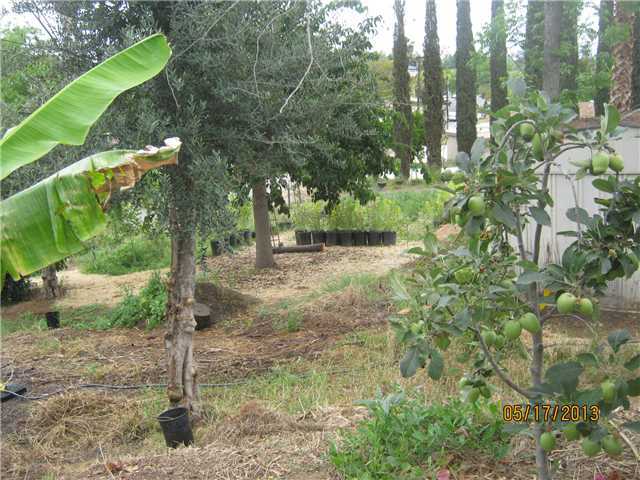 635 Howe Place Escondido, CA 92025 - Photo 13 of 13 pots do not convey