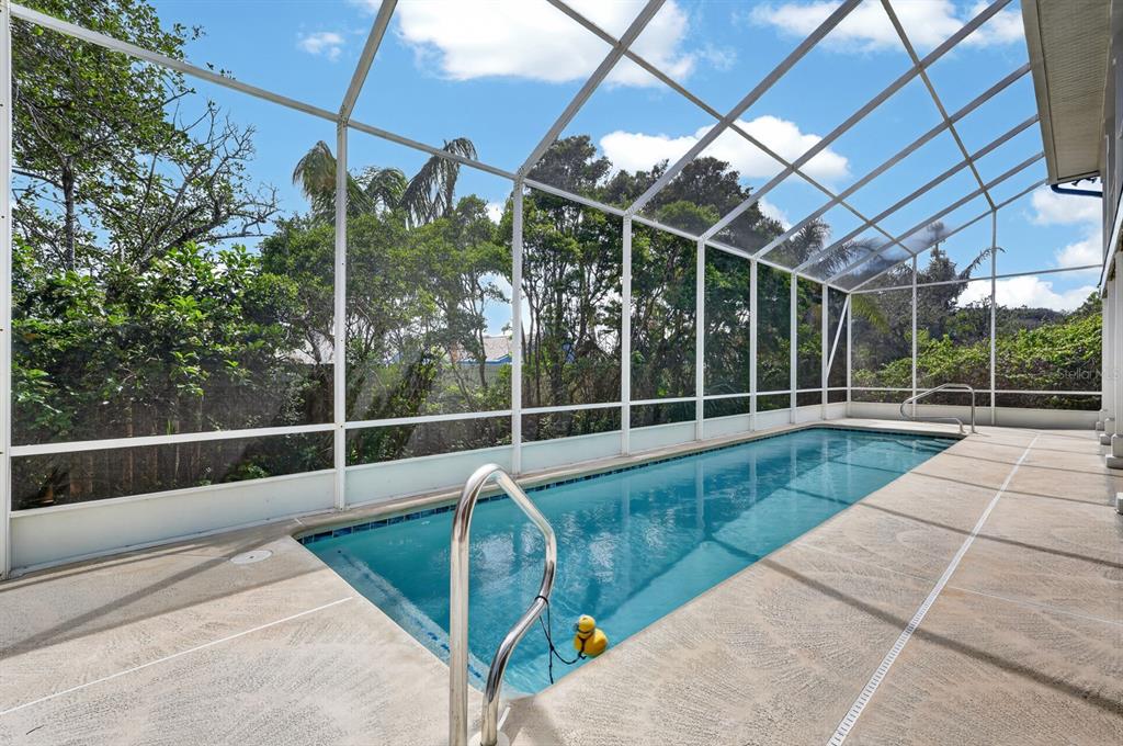 49 Loggerhead Court Ponce Inlet, FL 32127 - Photo 39 of 59 a view of a backyard with a swimming pool