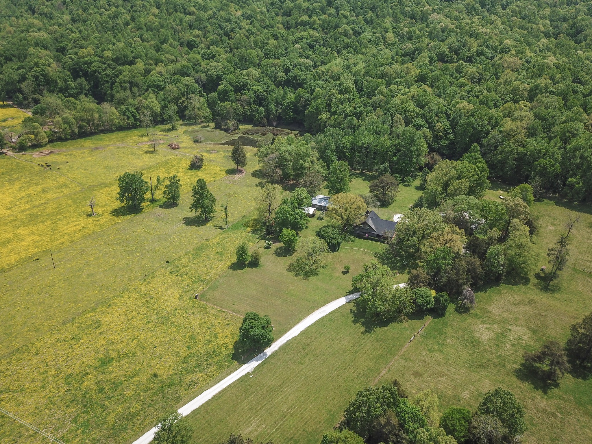 4222 Payne Cove Road Pelham, TN 37366 - Photo 1 of 61 Gallery Image 1