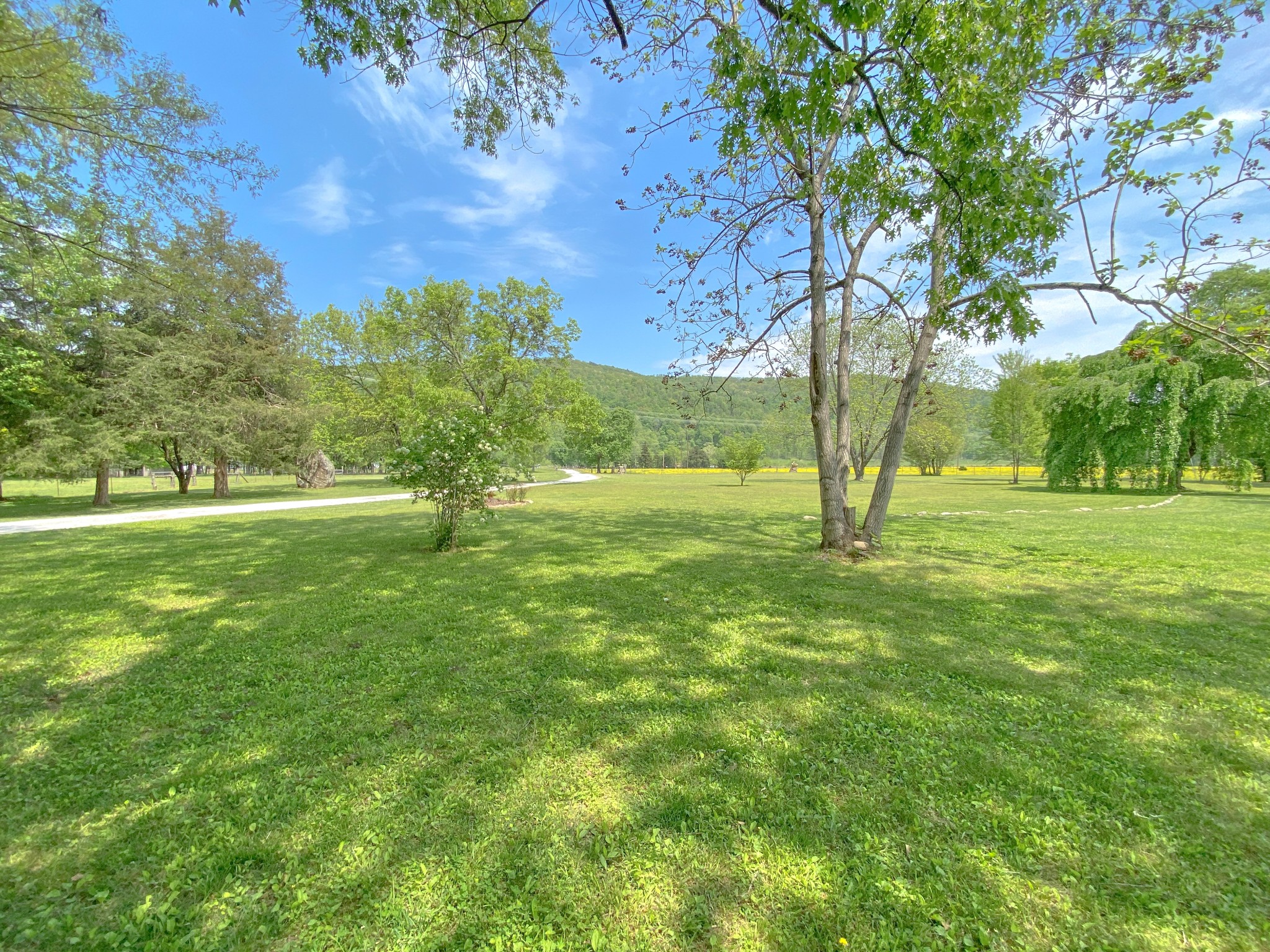 4222 Payne Cove Road Pelham, TN 37366 - Photo 12 of 61 Gallery Image 12