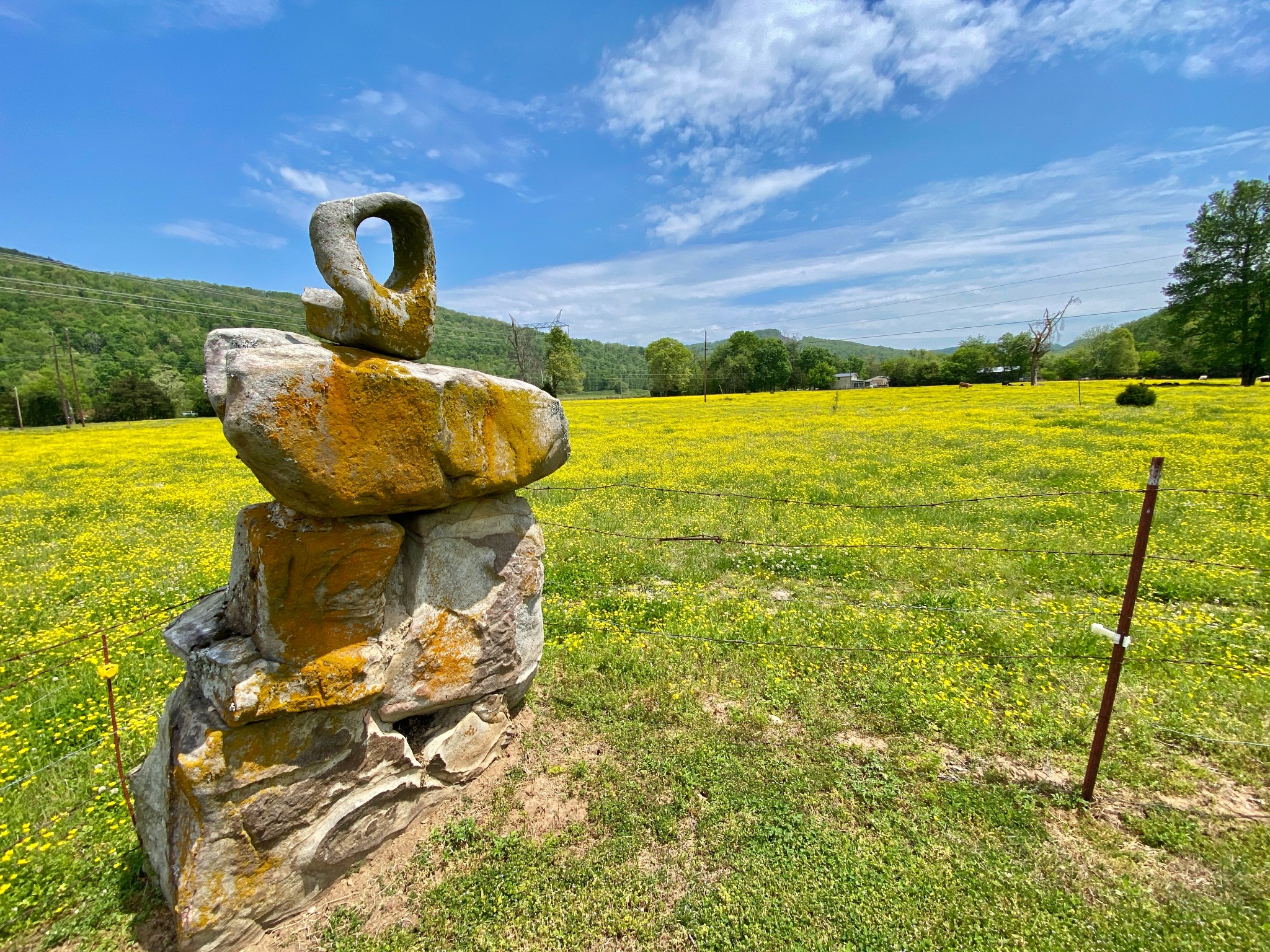 4222 Payne Cove Road Pelham, TN 37366 - Photo 15 of 61 Gallery Image 15