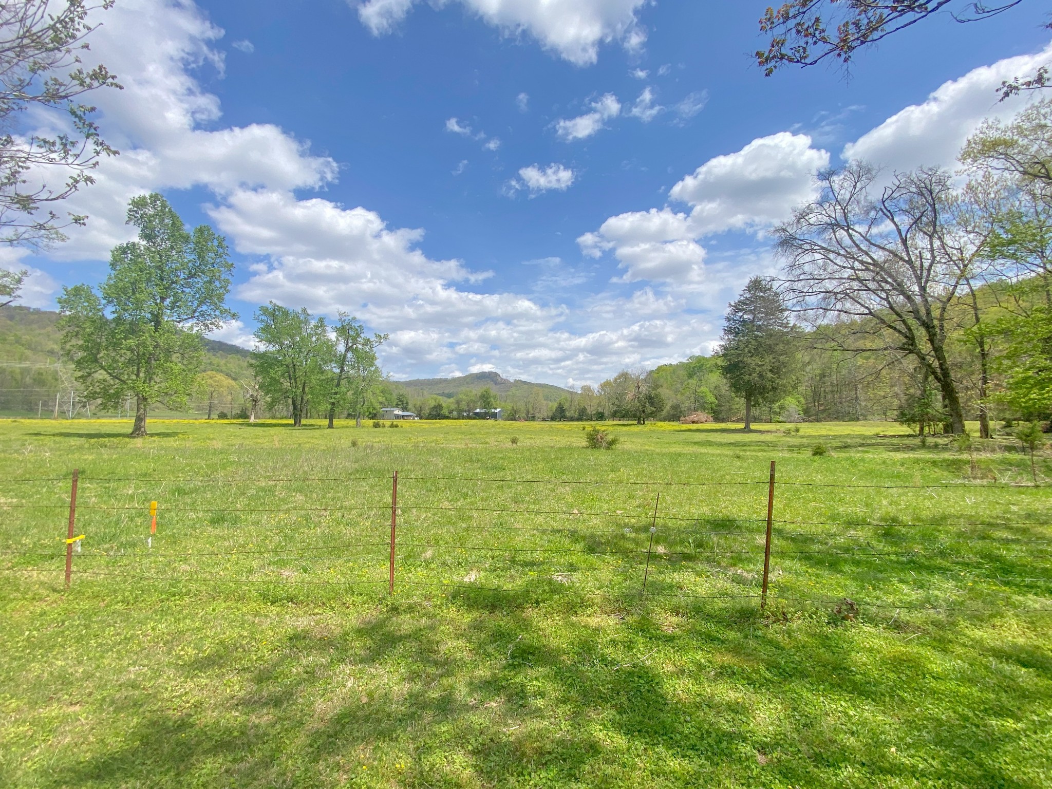 4222 Payne Cove Road Pelham, TN 37366 - Photo 7 of 61 Gallery Image 7