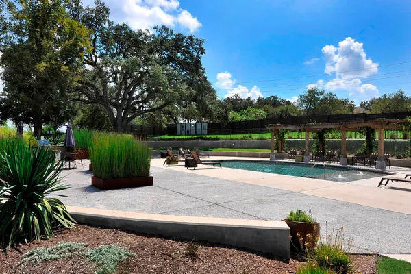 a view of a yard with plants and large trees