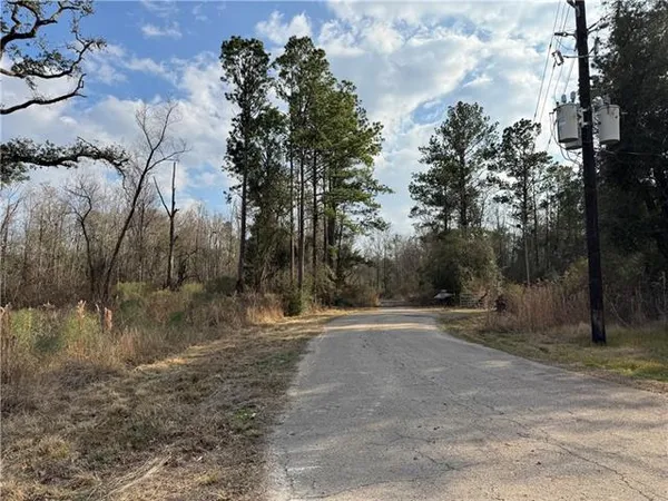 $724,000 | Tbd Winder Road, Springfield, LA 70462