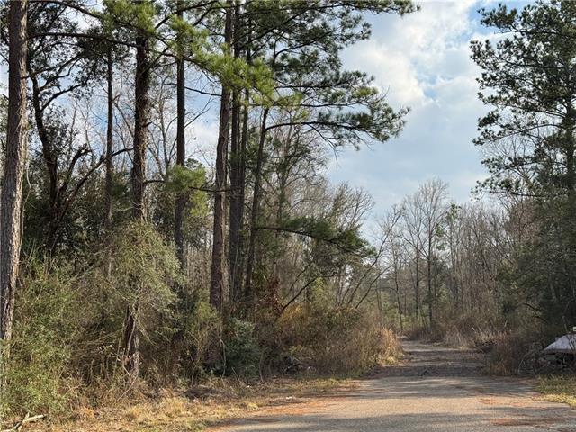 Tbd Winder Road Springfield, LA 70462 - Photo 2 of 5