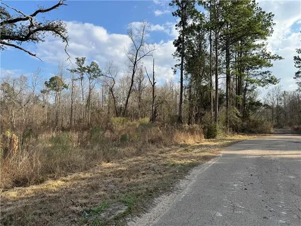 $724,000 | Tbd Winder Road, Springfield, LA 70462