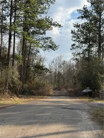$724,000 | Tbd Winder Road, Springfield, LA 70462
