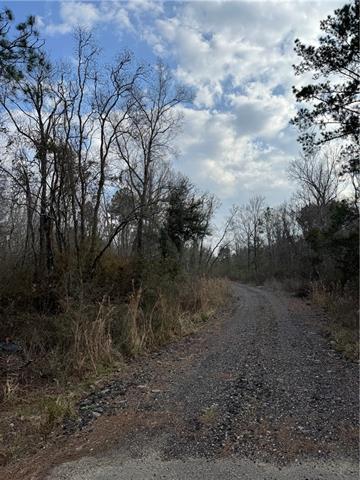 Tbd Winder Road Springfield, LA 70462 - Photo 5 of 5