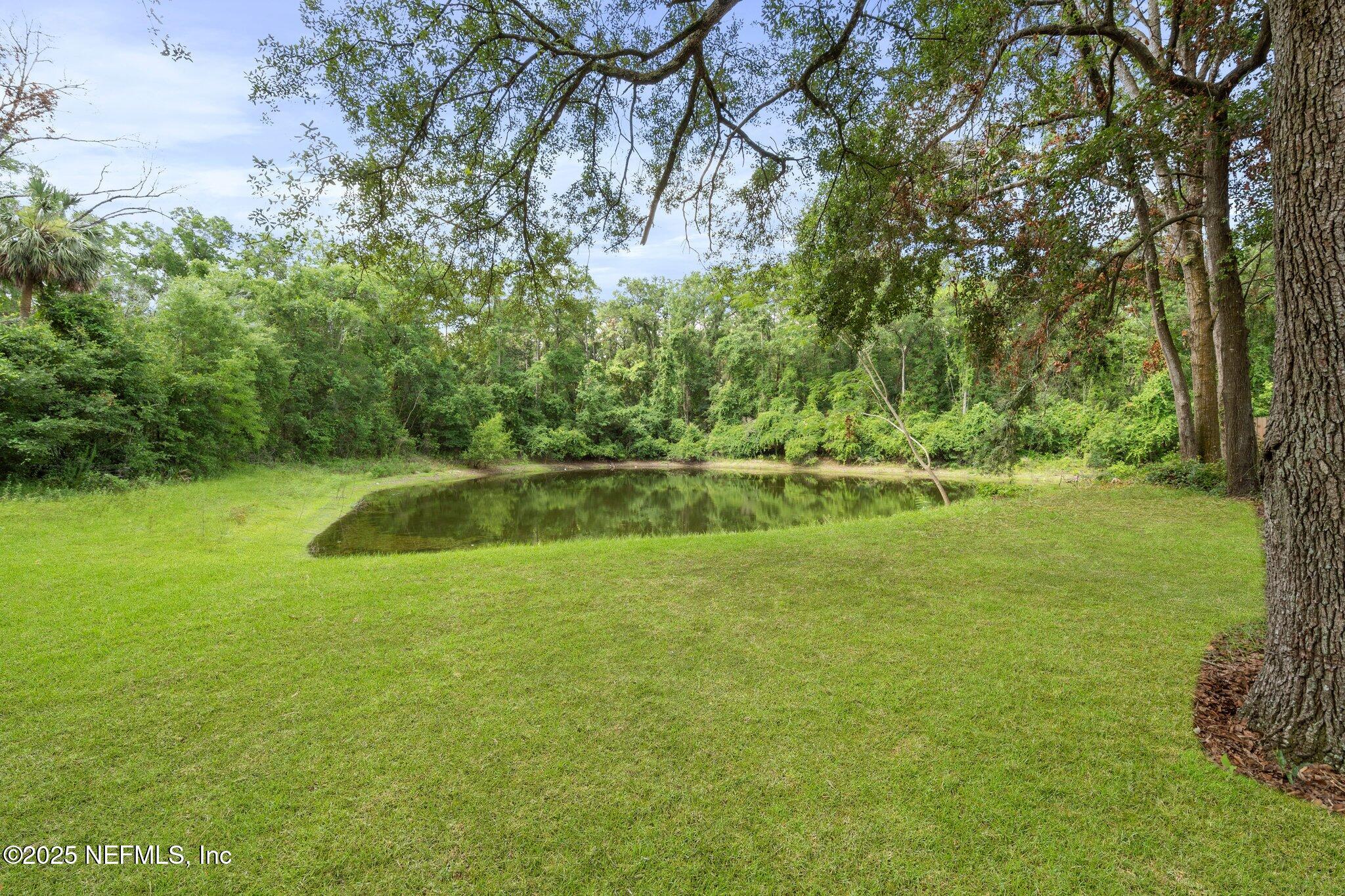 7687 Spring Branch Court Jacksonville, FL 32221 - Photo 7 of 30 14-web-or-mls-DSC05516a