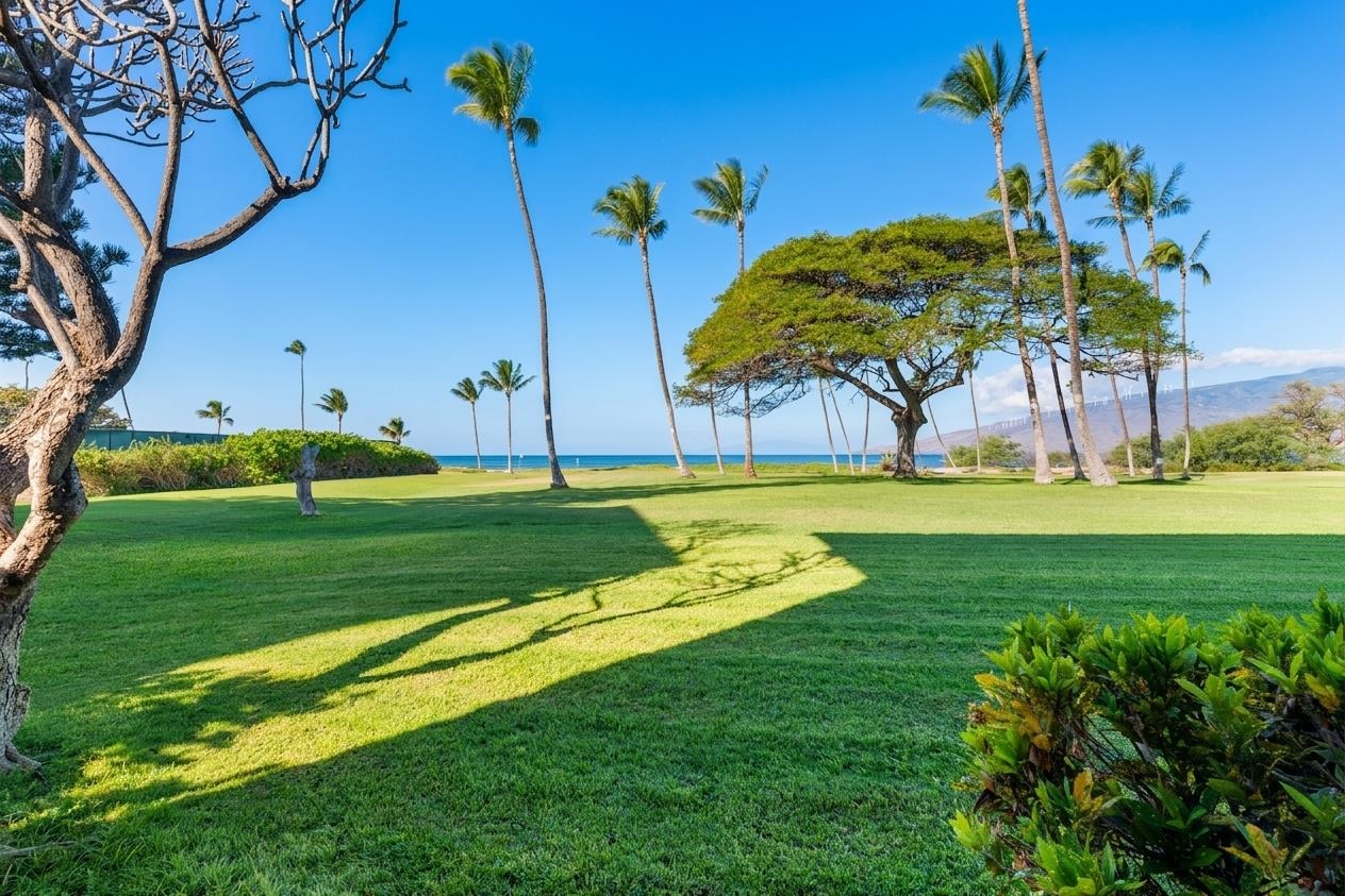 1002 South Kihei Road, Unit 114 Kihei, HI 96753 - Photo 46 of 50 a view of a golf course with a park