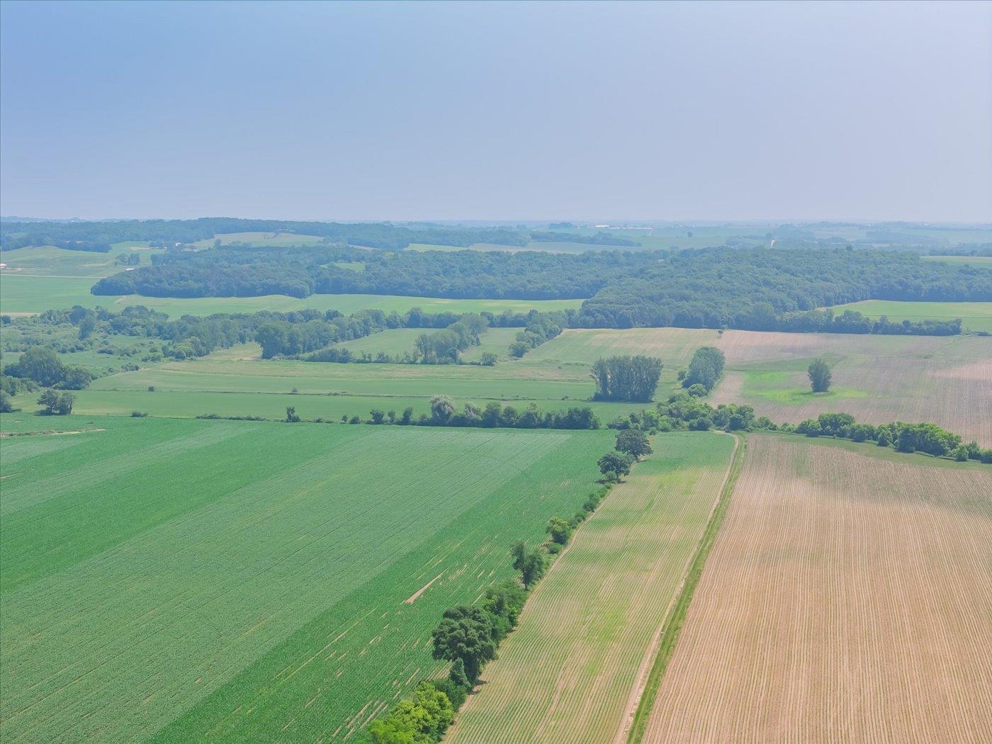 Lot 1 Sandy Hook Brooklyn, WI 53521 - Photo 3 of 24