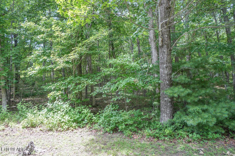 South Peterson Road Tallassee, TN 37878 - Photo 2 of 5 DSC00711