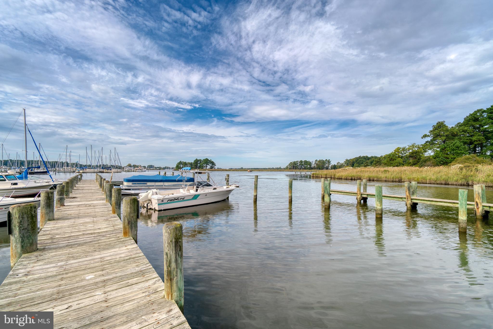 21136 Spring Cove Road Rock Hall, MD 21661 - Photo 27 of 29