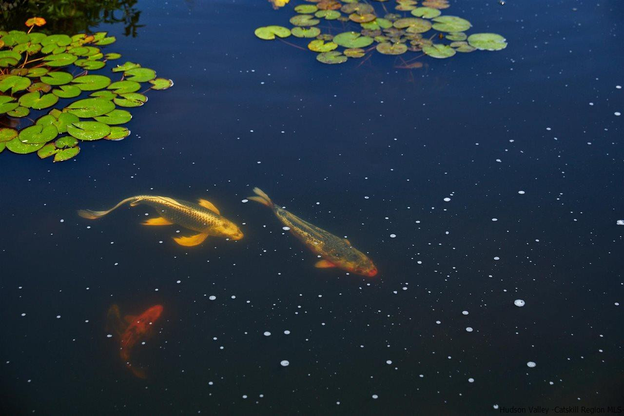 27 Westview Drive Wallkill, NY 12589 - Photo 34 of 35 a close view of a fountain in front of the house