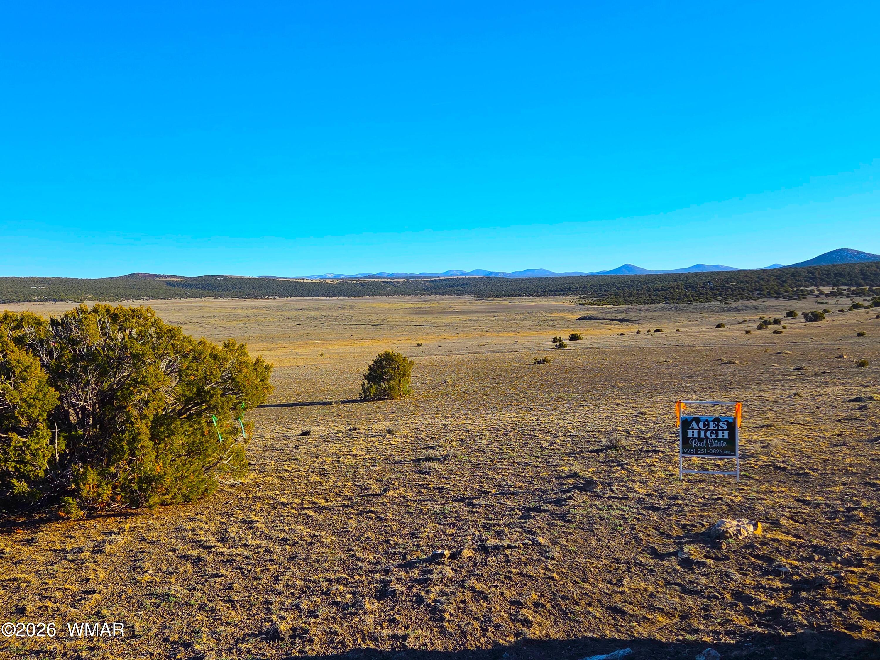 Tbd Bunkhouse Road Show Low, AZ 85901 - Photo 11 of 13 20260201_162453
