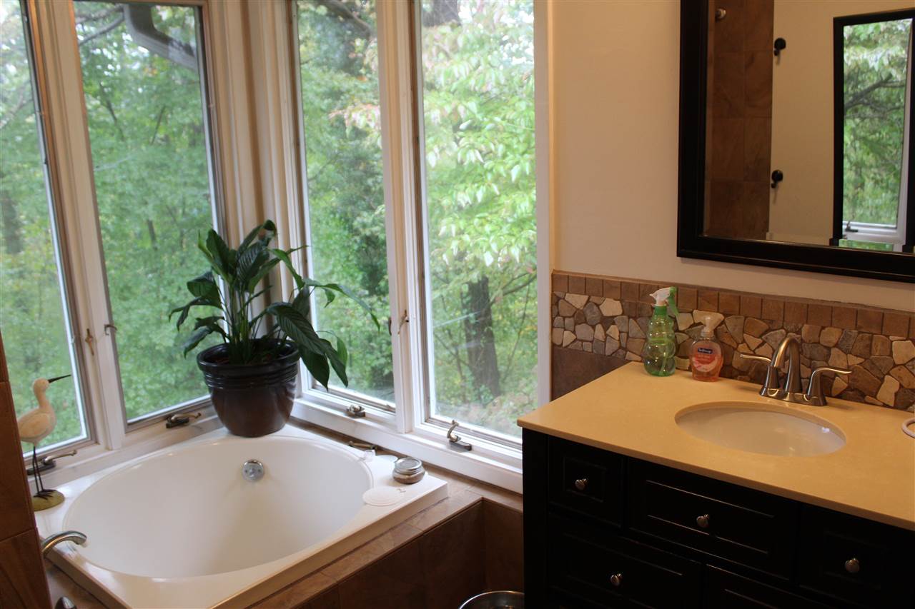 65 Vineyard Lane Tryon, NC 28782 - Photo 19 of 36 Gallery Image 19
