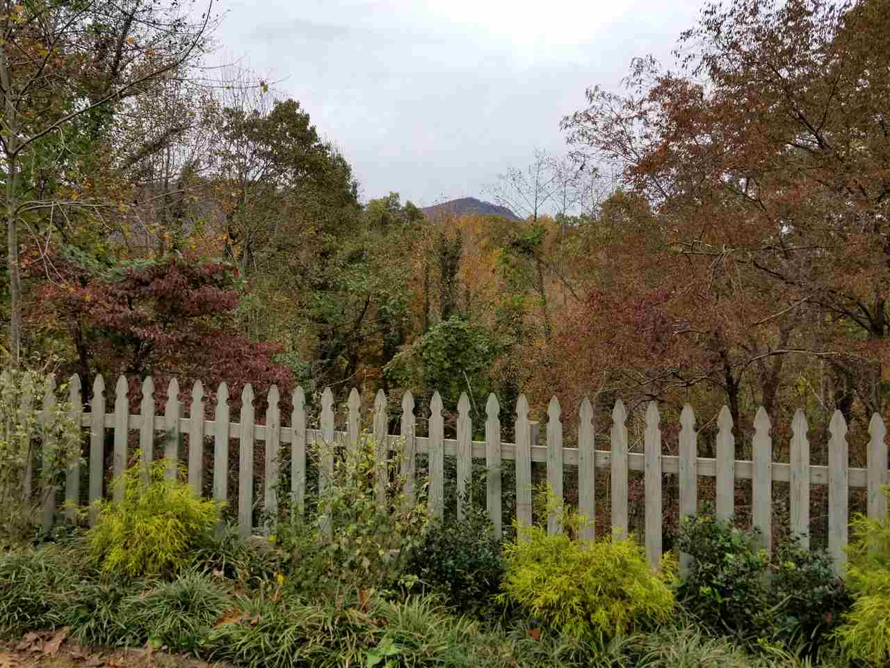 65 Vineyard Lane Tryon, NC 28782 - Photo 29 of 36 Gallery Image 29