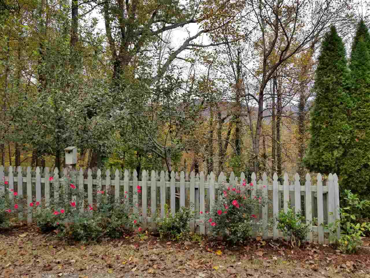 65 Vineyard Lane Tryon, NC 28782 - Photo 30 of 36 Gallery Image 30