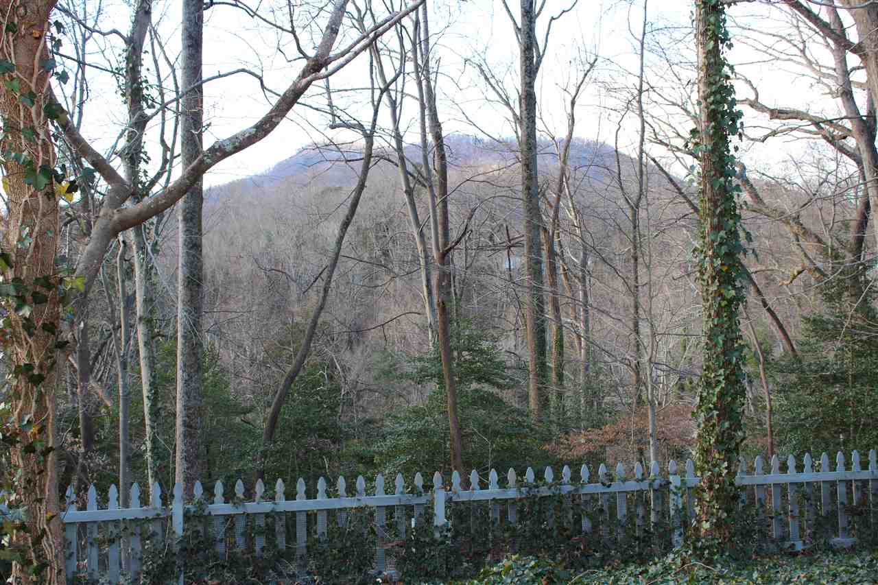 65 Vineyard Lane Tryon, NC 28782 - Photo 36 of 36 Gallery Image 36