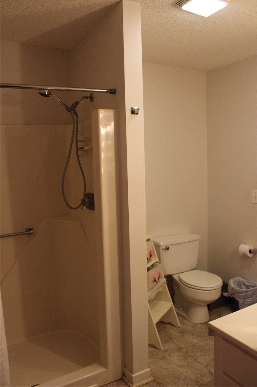 65 Vineyard Lane Tryon, NC 28782 - Photo 8 of 36 Gallery Image 8