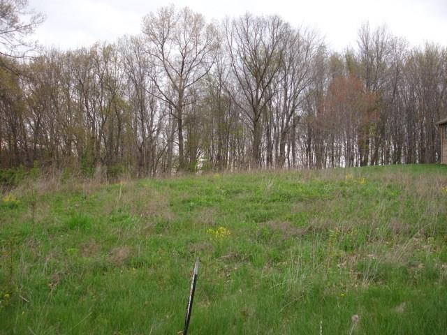 Lot 31 Pheasant Ridge Dr Center Butler, PA 16001 - Photo 4 of 7 Gallery Image 4